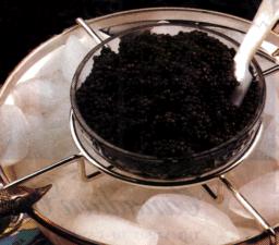 American black roe