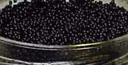 imported caviar black whitefish roe fresh whitefish eggs black caviar caviare caviars low cost caviar alternative tasty treat gourmet food specialty food special sampler package unbeatable prices wholesale price, bulk, bulk pricing, caviar prices, wholesale caviar prices, wholesale caviar price