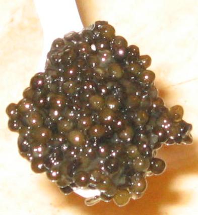 Fresh Farmed White Sturgeon Caviar